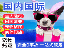 宝安空运地址国际宠物托运 【国